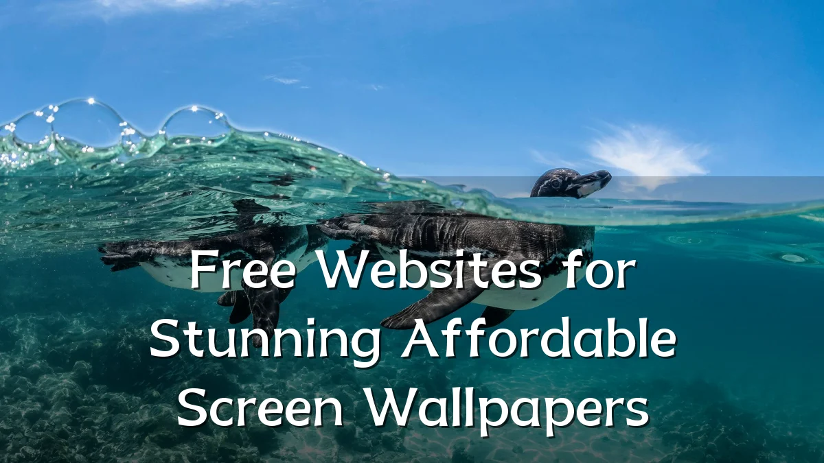 Free Websites for Stunning Affordable Screen Wallpapers