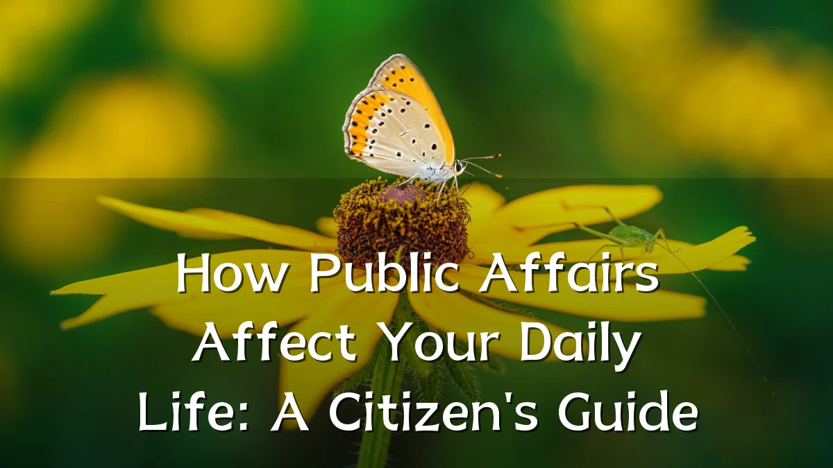 How Public Affairs Affect Your Daily Life: A Citizen's Guide