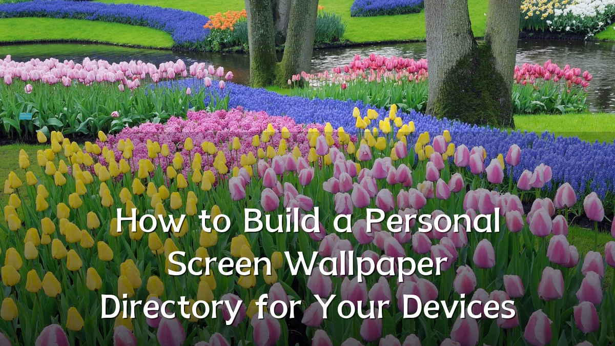 How to Build a Personal Screen Wallpaper Directory for Your Devices