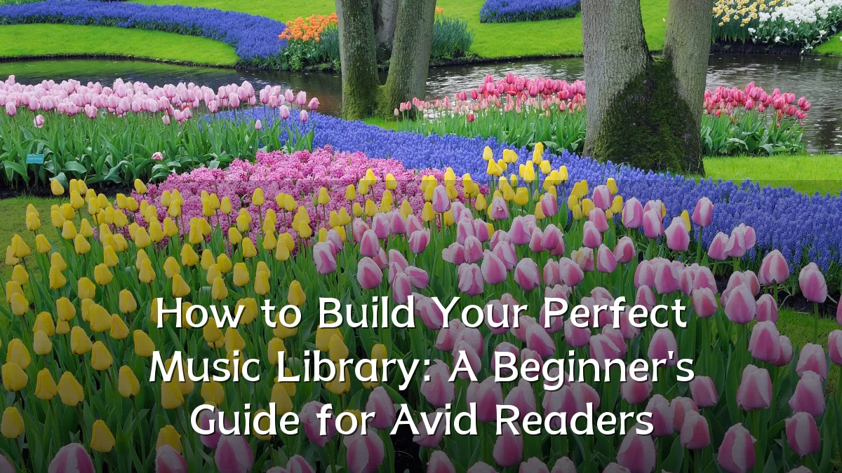 How to Build Your Perfect Music Library: A Beginner's Guide for Avid Readers