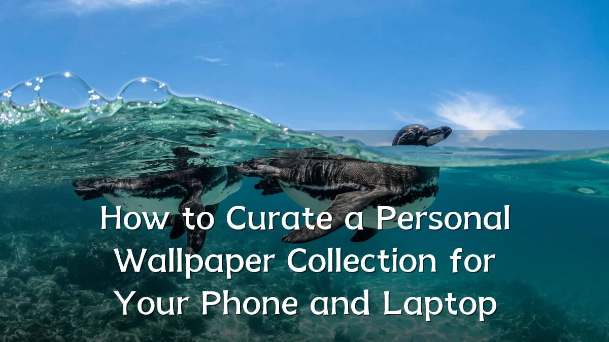 How to Curate a Personal Wallpaper Collection for Your Phone and Laptop