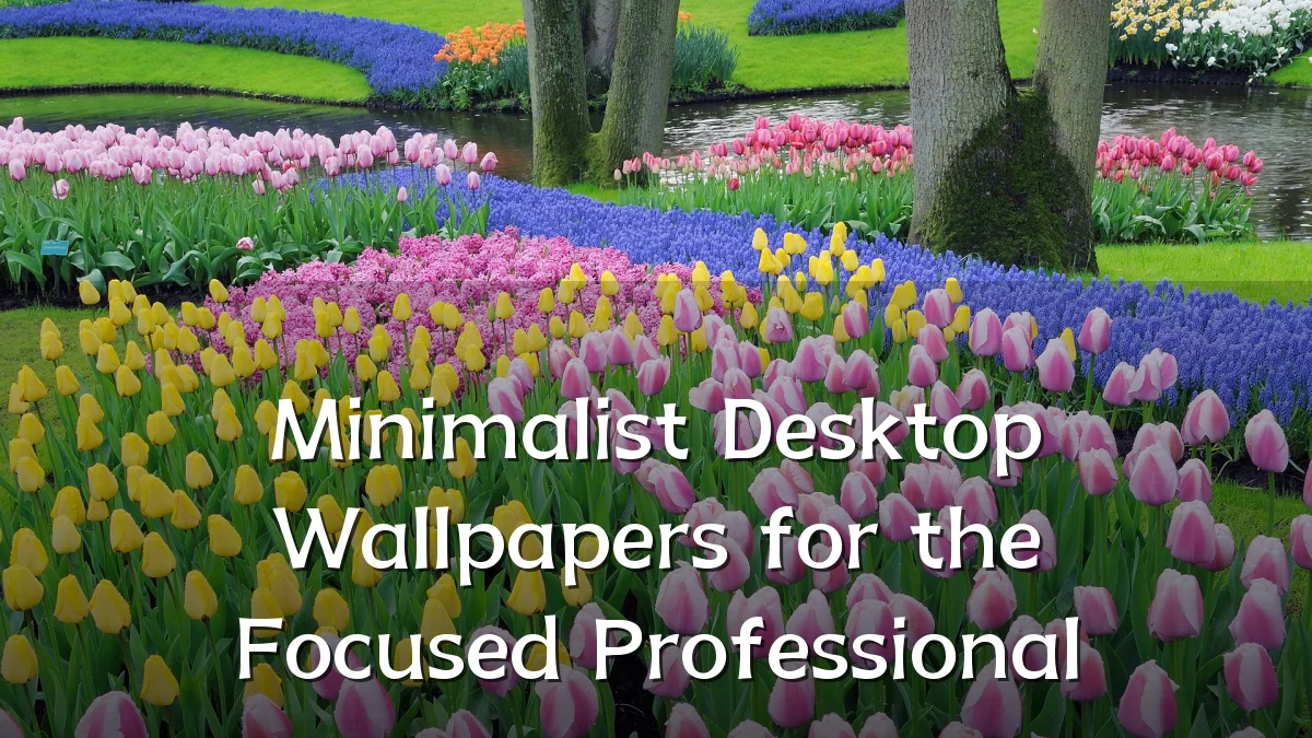 Minimalist Desktop Wallpapers for the Focused Professional