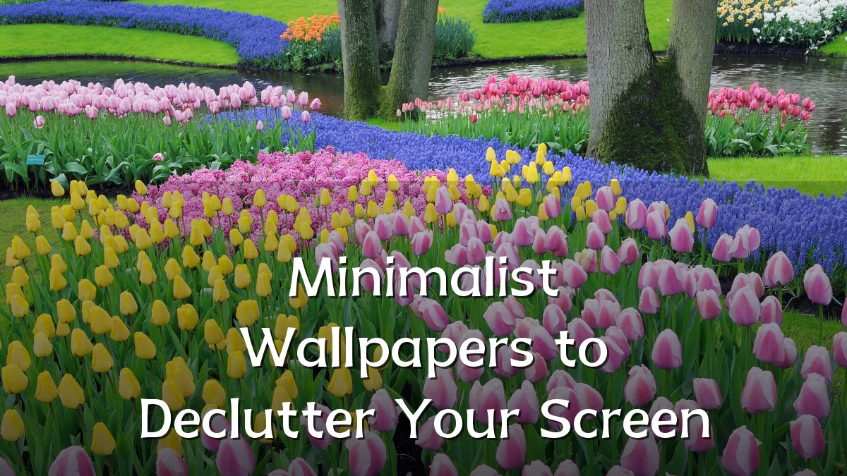 Minimalist Wallpapers to Declutter Your Screen