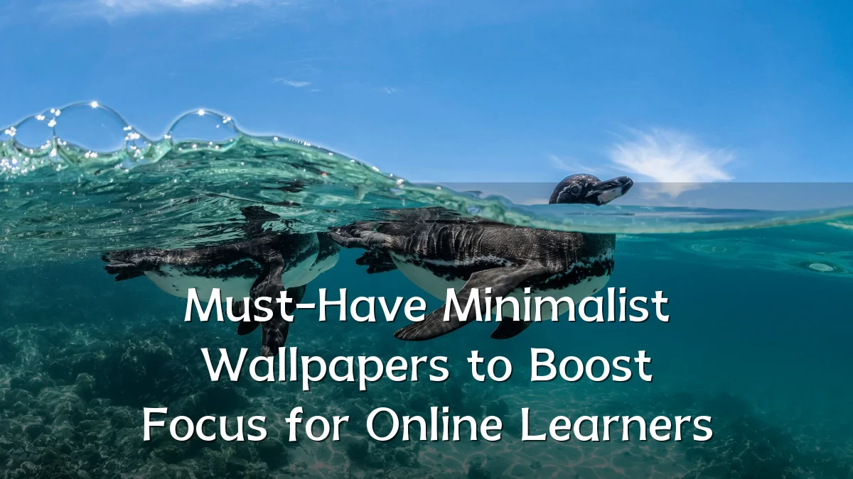 Must-Have Minimalist Wallpapers to Boost Focus for Online Learners