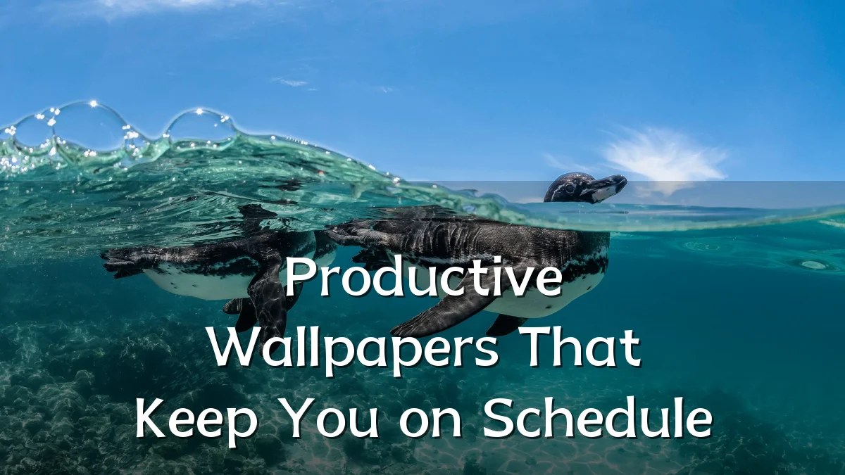 Productive Wallpapers That Keep You on Schedule