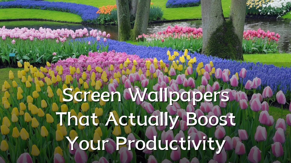 Screen Wallpapers That Actually Boost Your Productivity