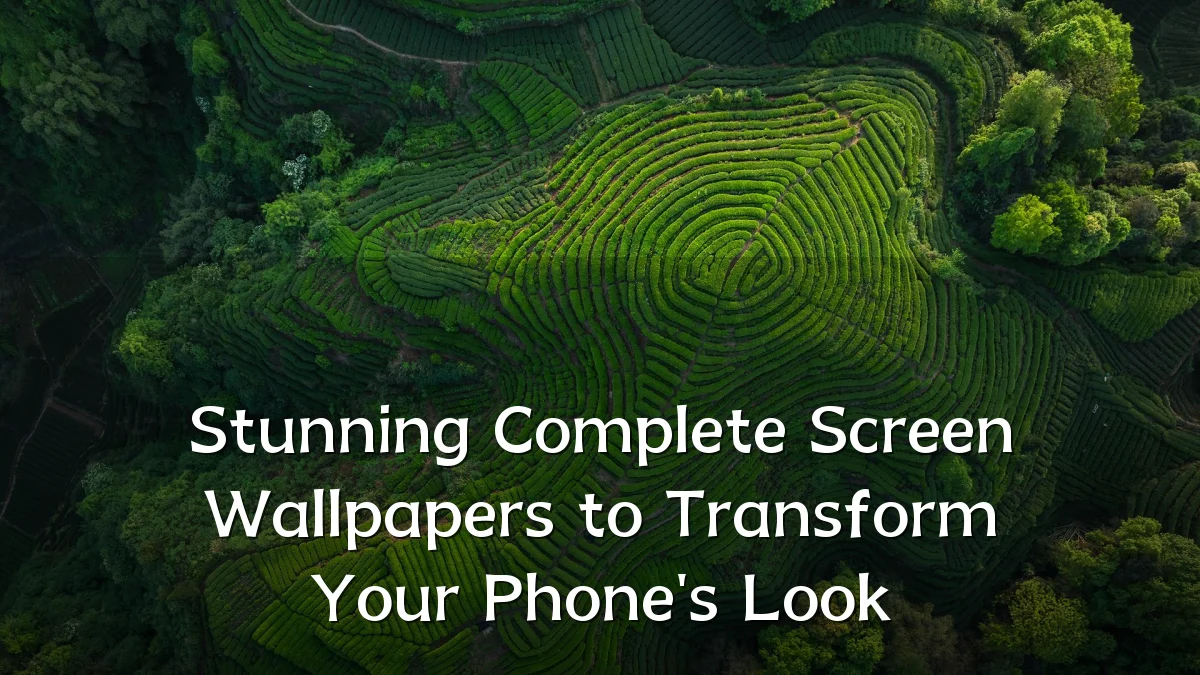 Stunning Complete Screen Wallpapers to Transform Your Phone's Look
