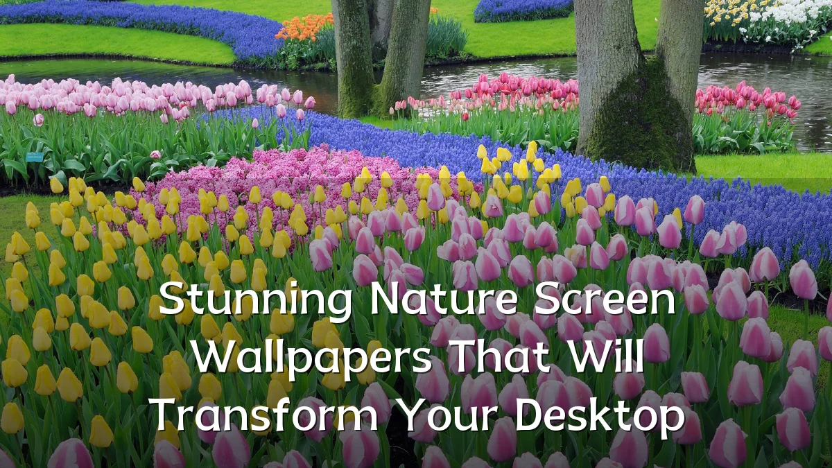 Stunning Nature Screen Wallpapers That Will Transform Your Desktop