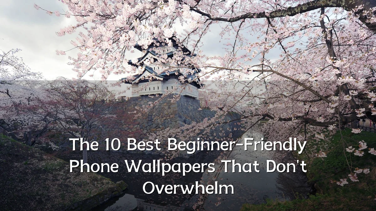 The 10 Best Beginner-Friendly Phone Wallpapers That Don't Overwhelm
