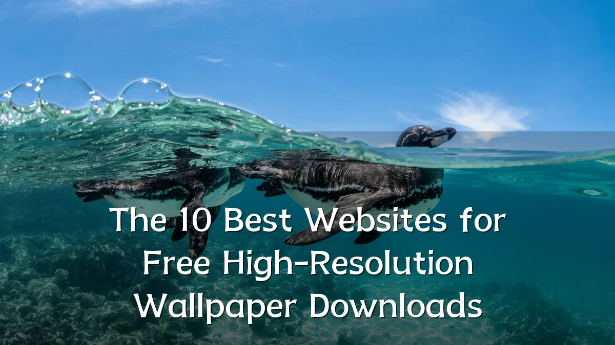 The 10 Best Websites for Free High-Resolution Wallpaper Downloads