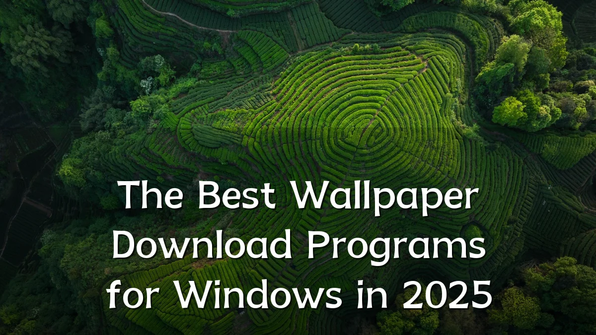 The Best Wallpaper Download Programs for Windows in 2025