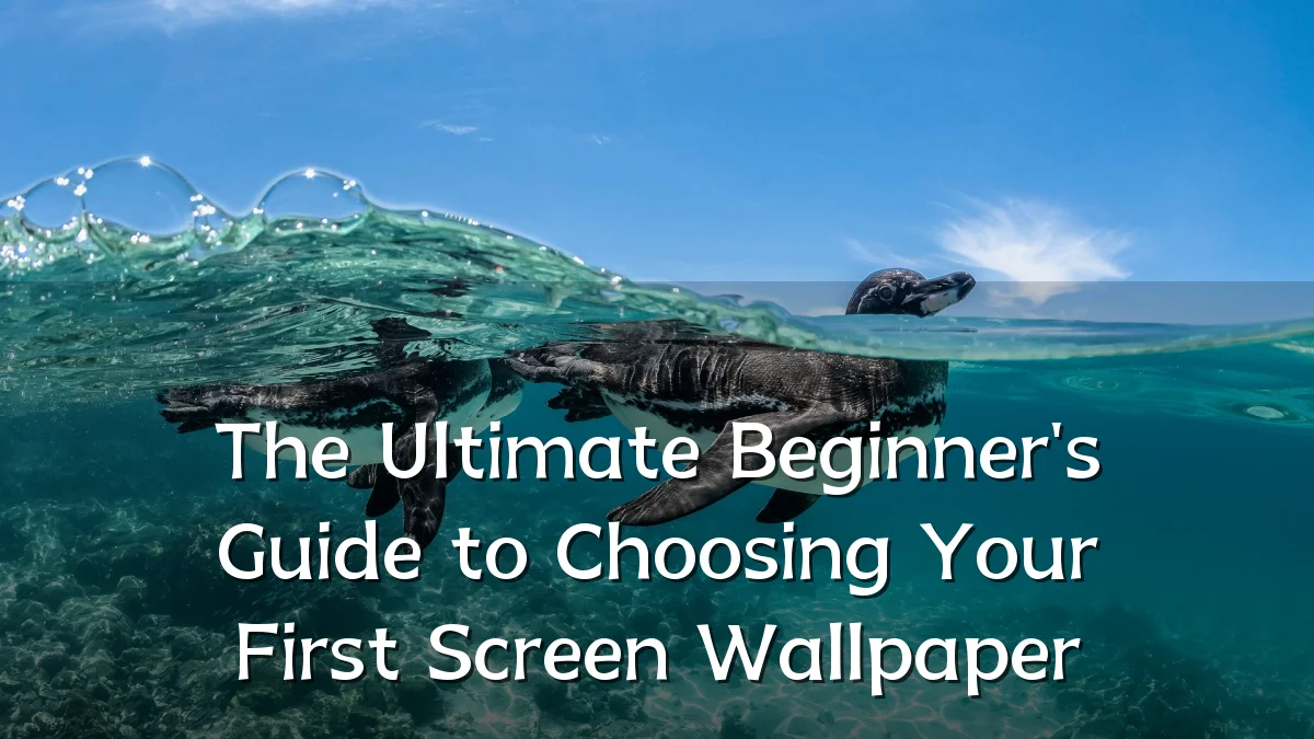 The Ultimate Beginner's Guide to Choosing Your First Screen Wallpaper