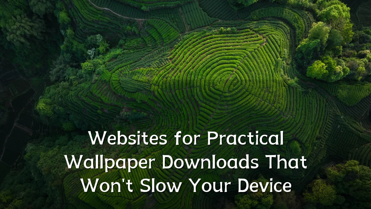 Websites for Practical Wallpaper Downloads That Won't Slow Your Device