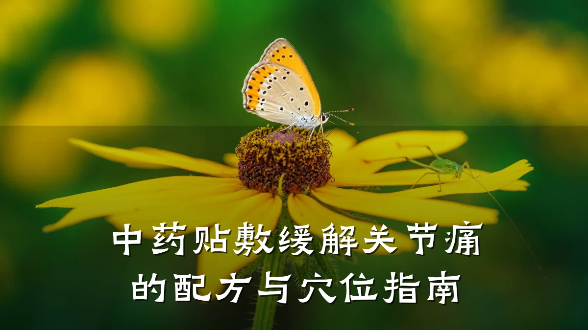 中药贴敷缓解关节痛的配方与穴位指南
