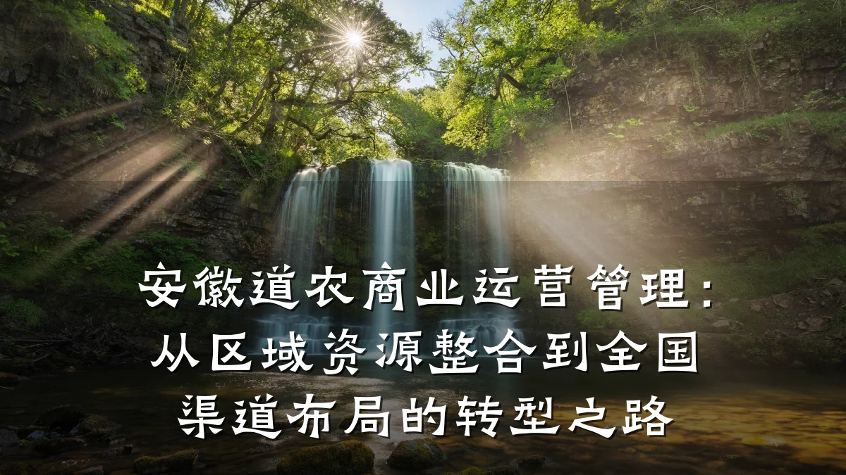 安徽道农商业运营管理:从区域资源整合到全国渠道布局的转型之路