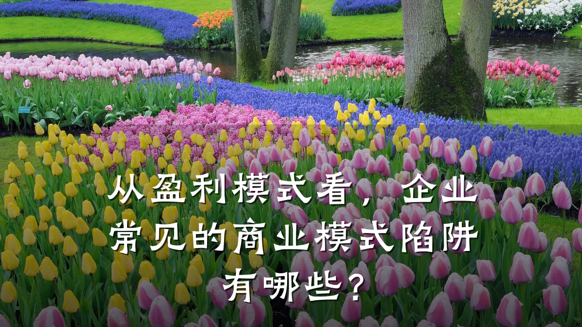 从盈利模式看,企业常见的商业模式陷阱有哪些?