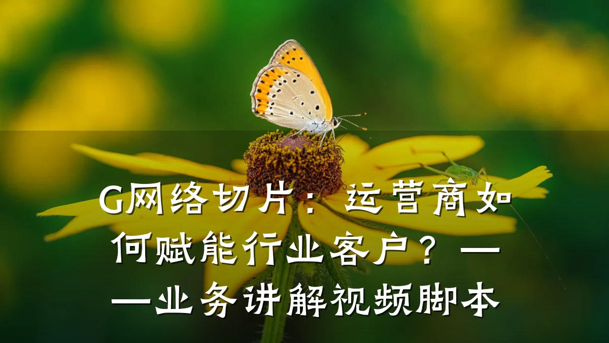 G网络切片:运营商如何赋能行业客户?——业务讲解视频脚本