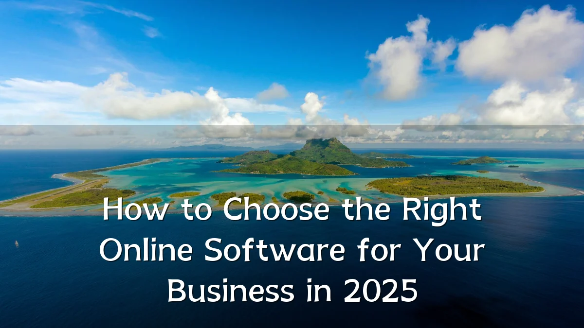 How to Choose the Right Online Software for Your Business in 2025