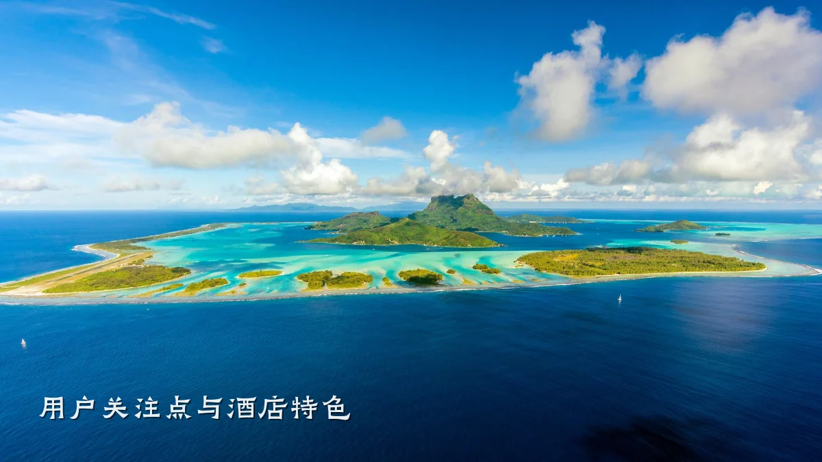 用户关注点与酒店特色