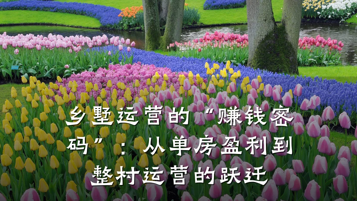 乡墅运营的“赚钱密码”:从单房盈利到整村运营的跃迁