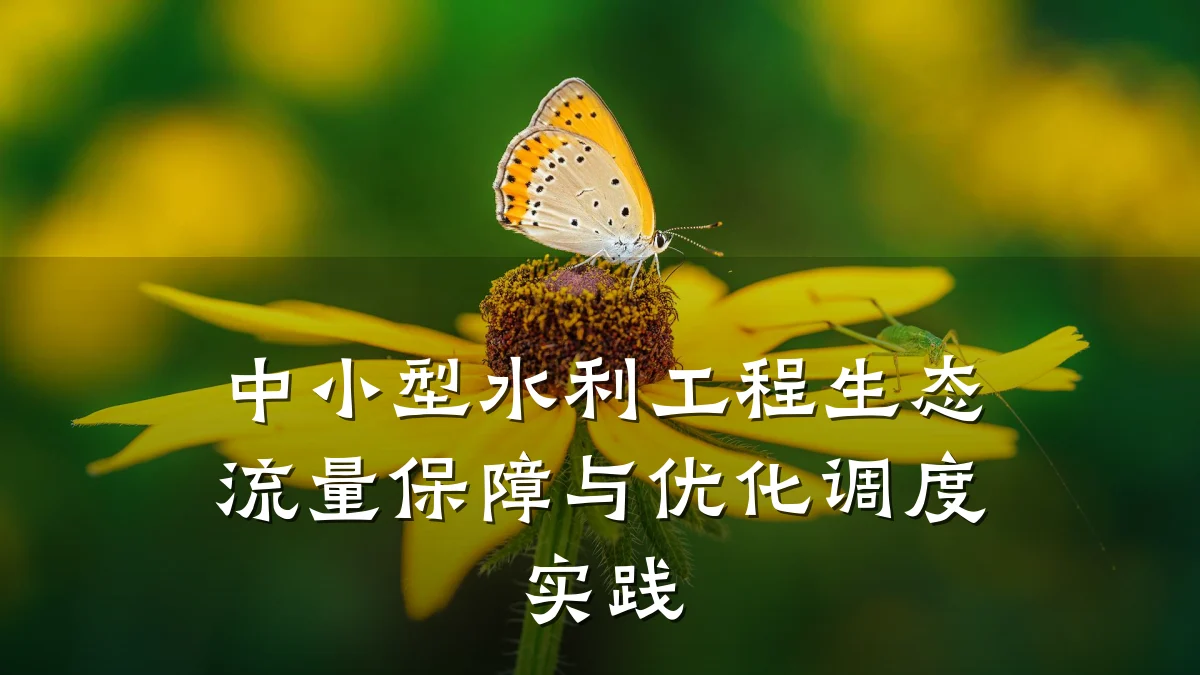 中小型水利工程生态流量保障与优化调度实践