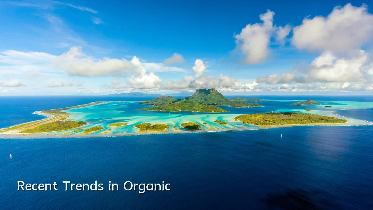 Recent Trends in Organic