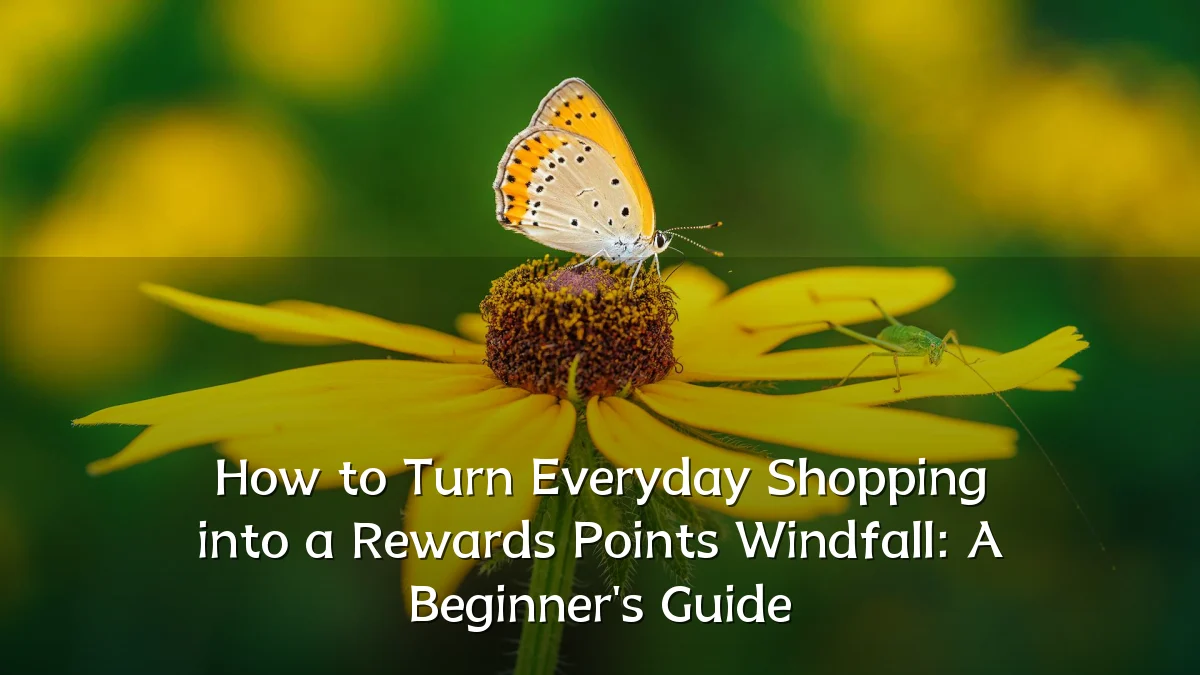 How to Turn Everyday Shopping into a Rewards Points Windfall: A Beginner's Guide
