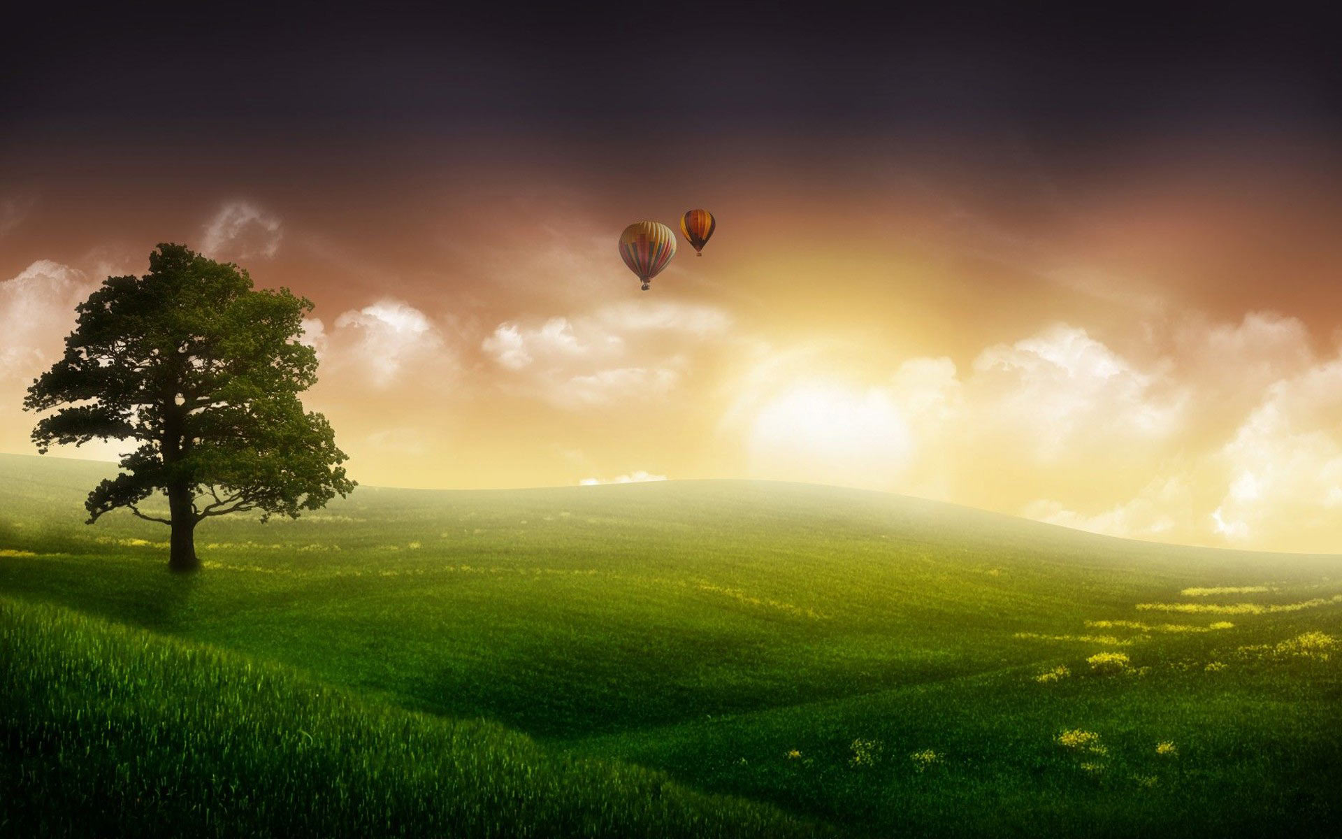 Hot air balloons background