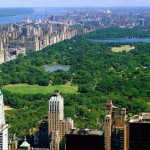 central park new york wallpaper