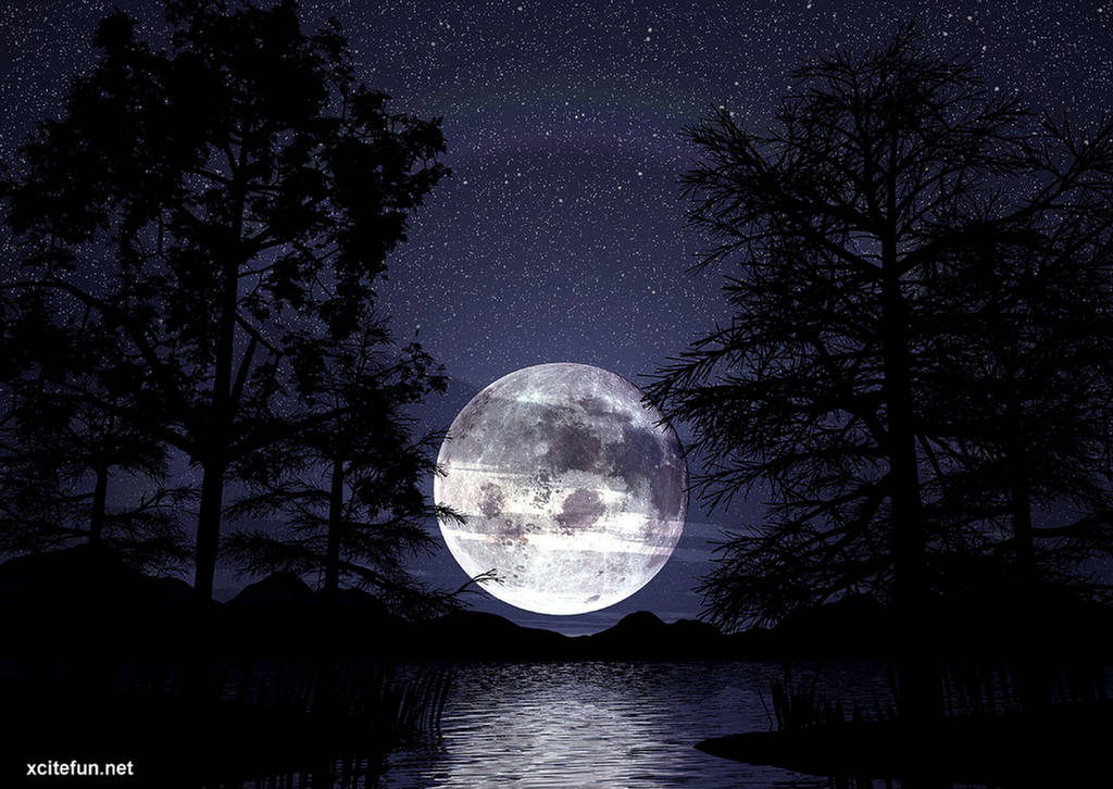 romantic moon wallpaper