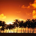29 palm sunset wallpaper