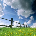 Fences nature wallpaper