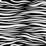 print zebra wallpaper