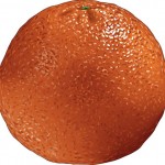 best orange picture