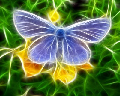 purple butterfly background picture