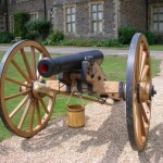 grass on cannon picture