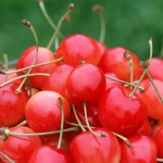 cherry fruit picture