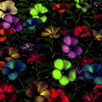 black floral wallpaper