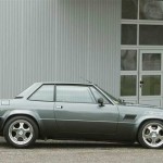 Detomaso longchamp picture