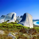 beach australia picture