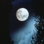 shinning moon picture