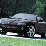 black jaguar picture