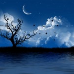 beautiful night wallpaper