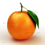 natural orange picture