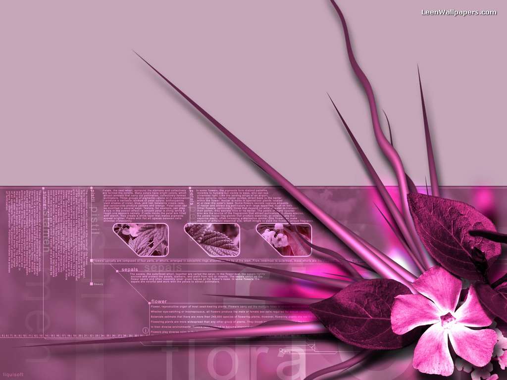cute pink background picture