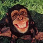 smiling monkey hd picture