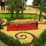 mixed vegetable garden