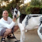 big dog with man picture