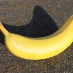 nice banana picture