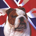 dog british picture